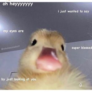 Meet your Posher, Matthew